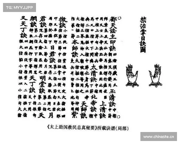 紫青仙缘结,双诀撼乾坤 紫青仙缘结,双诀撼乾坤